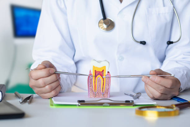 Best Weekend Emergency Dentist in Mitchell, IN